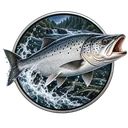 Zalm