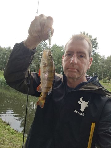 Snoek